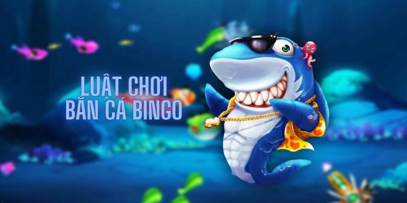 Đắm chìm trong luật chơi đơn giản của bắn cá Bingo 